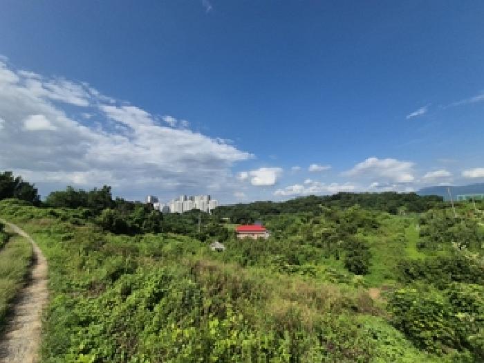 강원 원주시 무실동 임야 경매 물건 사진