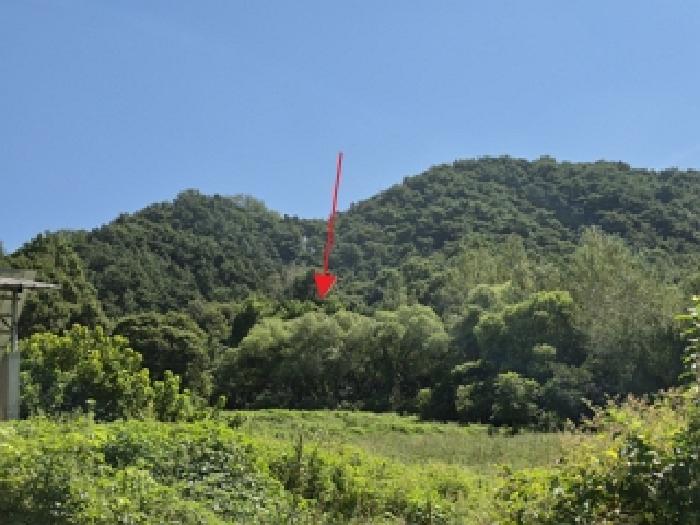 강원 횡성군 횡성읍 전 경매 물건 사진