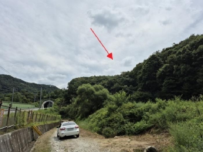 강원 원주시 지정면 임야 경매 물건 사진