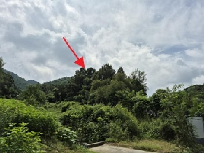 강원 원주시 문막읍 전 경매 물건 사진
