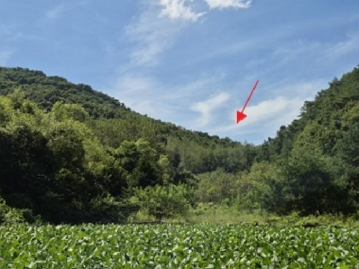 강원 원주시 단계동 대지 경매 물건 사진