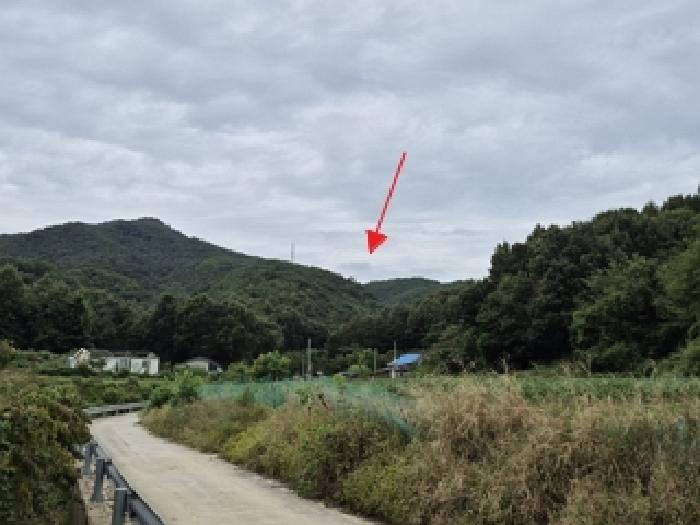 강원 원주시 문막읍 임야 경매 물건 사진