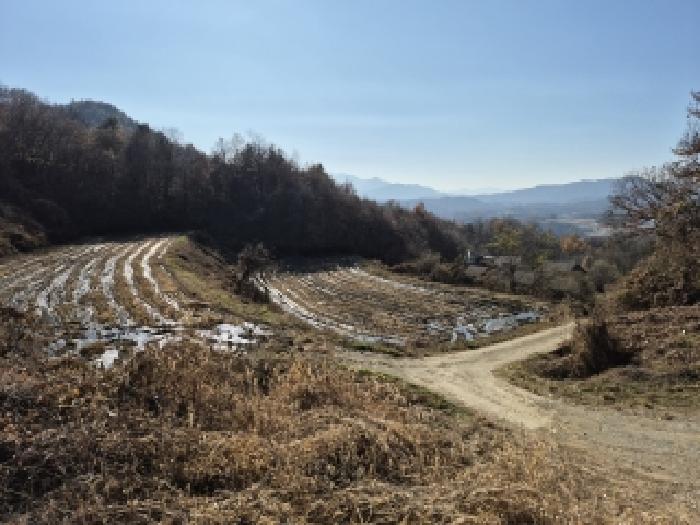 강원 횡성군 횡성읍 대지,임야,전답 경매 물건 사진
