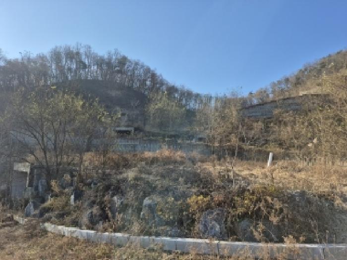강원 원주시 지정면 전 경매 물건 사진 2 · 2025타경20985