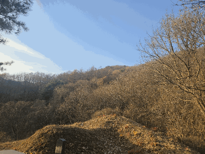 강원 원주시 판부면 임야 경매 물건 사진 5 · 2025타경21055