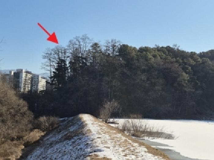 강원 원주시 단구동 임야 경매 물건 사진