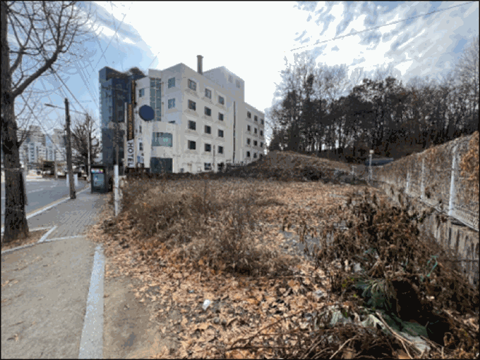 강원 원주시 문막읍 임야 경매 물건 사진 5 · 2025타경2462
