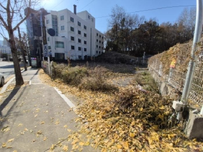 강원 원주시 문막읍 임야 경매 물건 사진