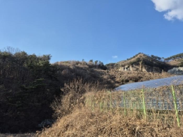 강원 원주시 흥업면 임야 경매 물건 사진