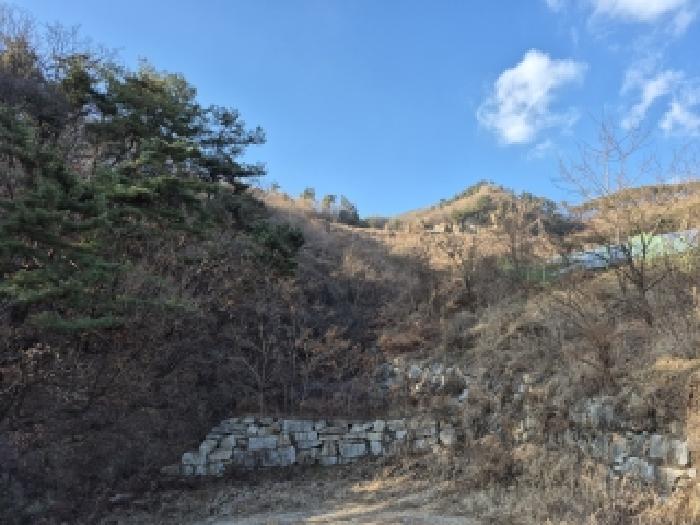 강원 원주시 흥업면 임야 경매 물건 사진 2 · 2025타경2547