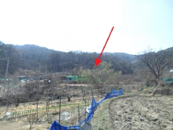 강원 원주시 호저면 전 경매 물건 사진