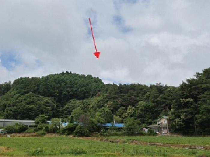 강원 횡성군 안흥면 임야 경매 물건 사진