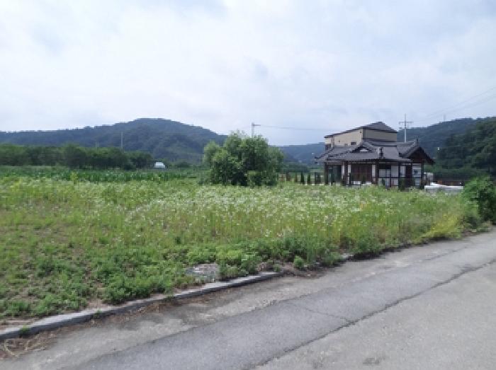강원 원주시 지정면 도로 경매 물건 사진