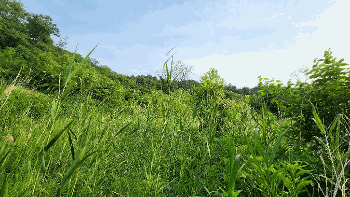 강원 원주시 반곡동 답 경매 물건 사진 4 · 2025타경985