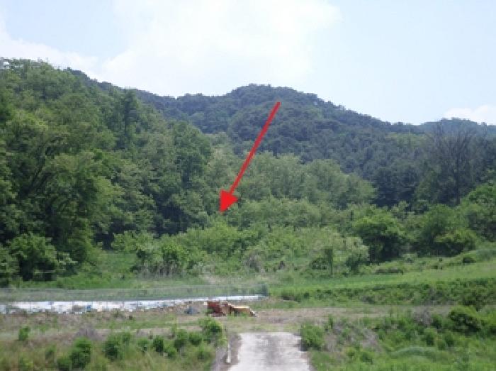 강원 원주시 반곡동 답 경매 물건 사진