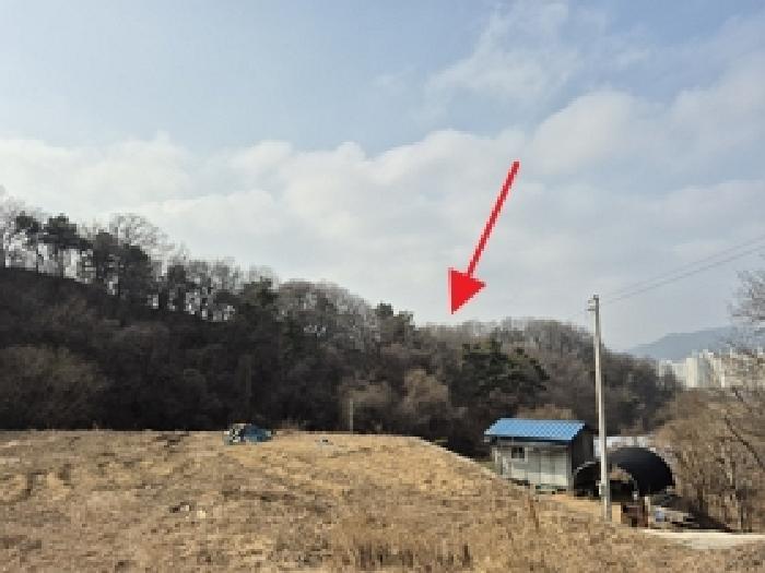 강원 원주시 문막읍 대지,임야,전답 경매 물건 사진