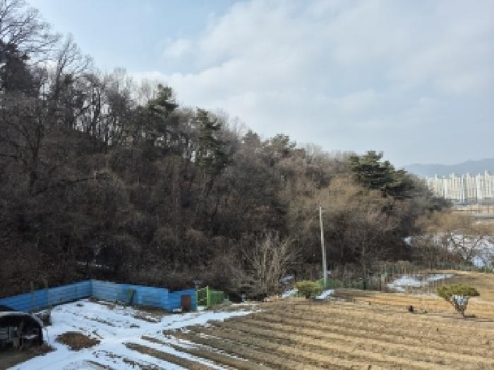 강원 원주시 문막읍 대지,임야,전답 경매 물건 사진 2 · 2026타경10