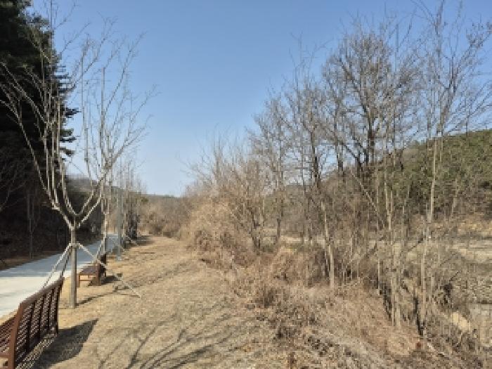 강원 원주시 봉산동 대지,임야,전답 경매 물건 사진 4 · 2026타경28