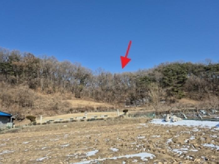 강원 원주시 소초면 임야 경매 물건 사진 2 · 2026타경50014