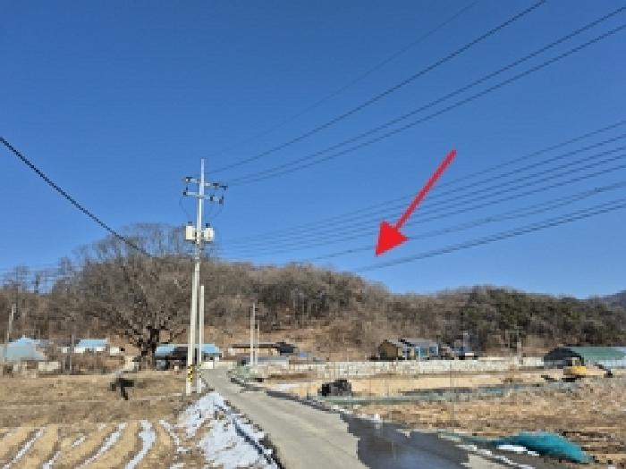 강원 원주시 소초면 임야 경매 물건 사진
