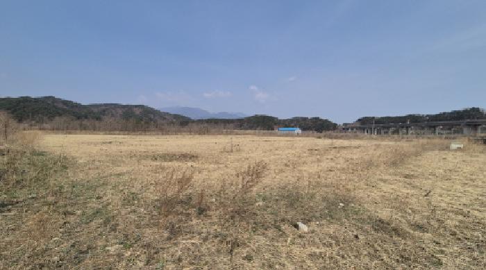 강원 양양군 서면 임야 경매 물건 사진