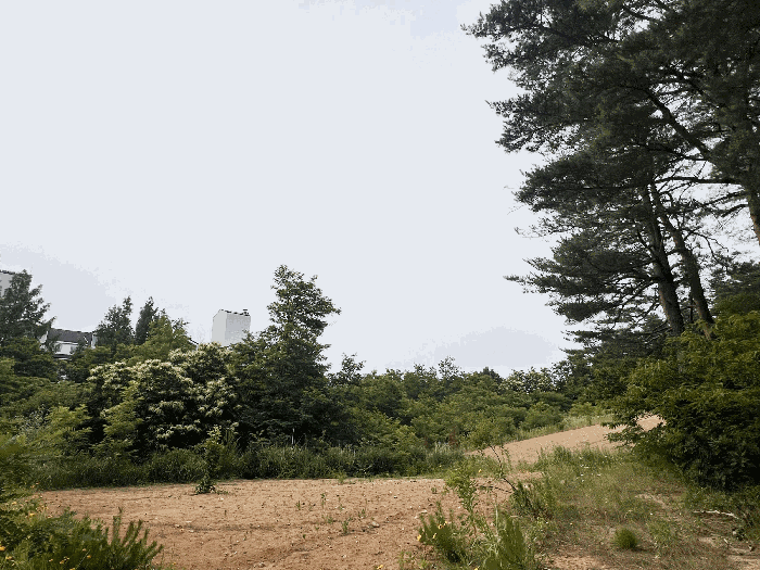 강원특별자치도 속초시 노학동 510-15 답 경매 물건 사진