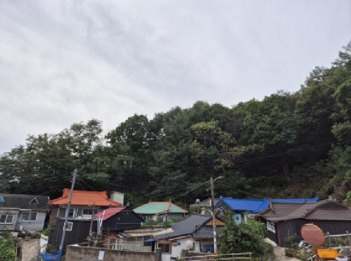 강원 고성군 거진읍 임야 경매 물건 사진