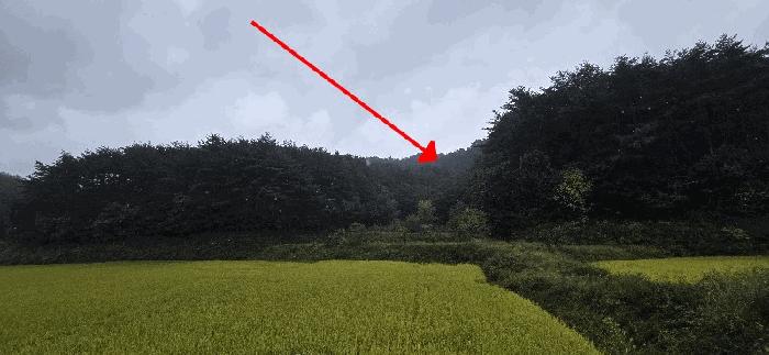 강원 양양군 현북면 임야 경매 물건 사진 5 · 2025타경10380
