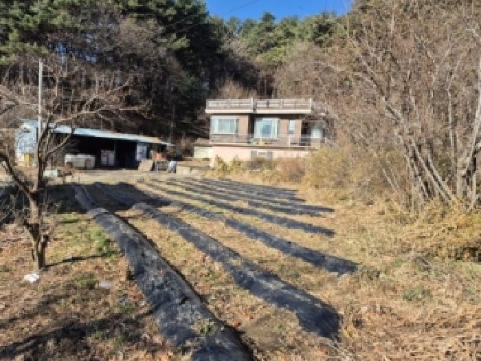 강원 양양군 양양읍 단독주택 경매 물건 사진