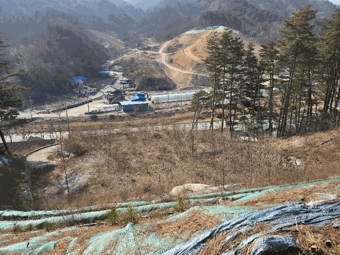 강원특별자치도 양양군 현남면 정자리 산37-2 임야 경매 물건 사진