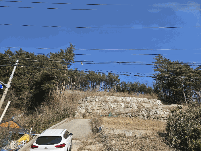 강원 양양군 현남면 임야 경매 물건 사진 5 · 2025타경193