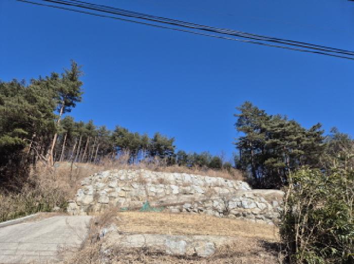 강원 양양군 현남면 임야 경매 물건 사진