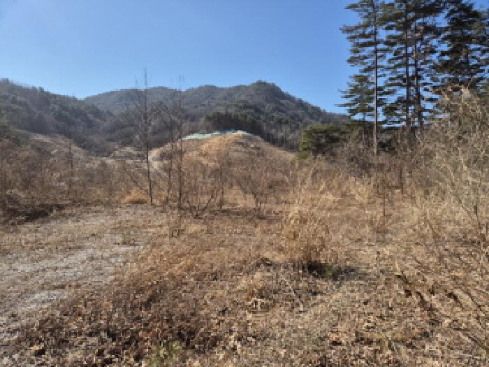 강원 양양군 현남면 임야 경매 물건 사진 2 · 2025타경193
