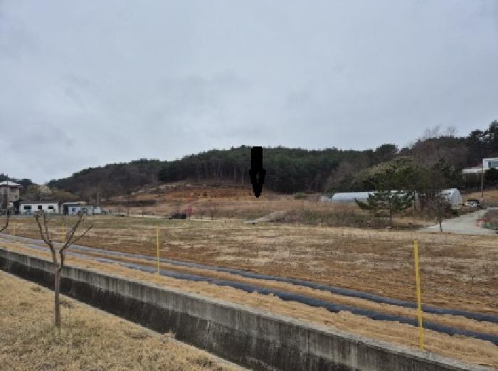 강원 양양군 손양면 답 경매 물건 사진 2 · 2025타경211