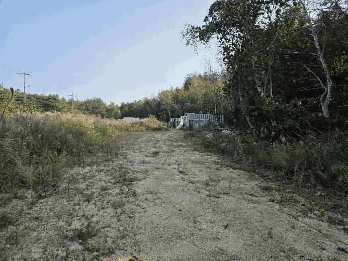 강원특별자치도 고성군 죽왕면 야촌리 산71-1 임야 경매 물건 사진