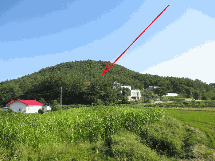 강원특별자치도 고성군 죽왕면 오봉리 산158 임야 경매 물건 사진