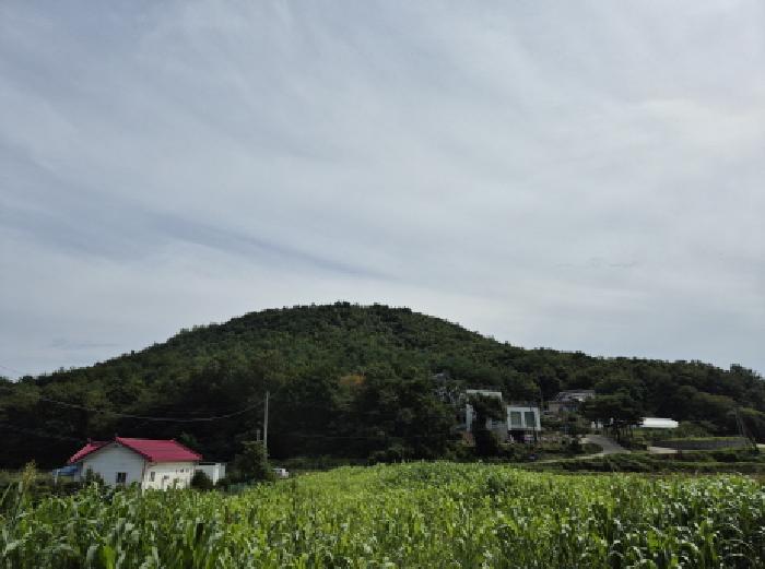 강원 고성군 죽왕면 임야 경매 물건 사진
