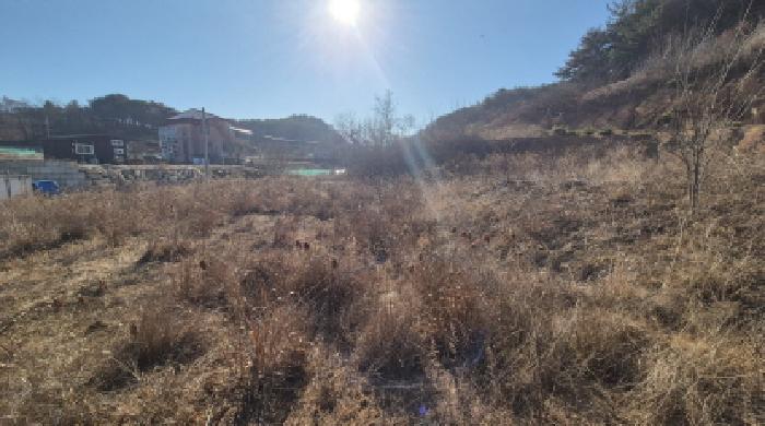 강원 양양군 손양면 전답 경매 물건 사진