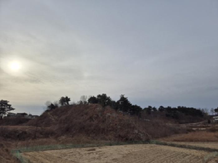 강원 고성군 죽왕면 임야 경매 물건 사진
