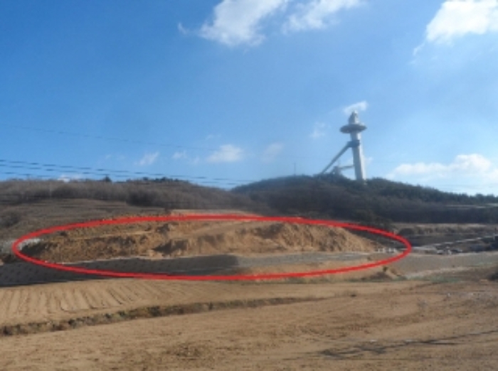 강원 평창군 대관령면 임야 경매 물건 사진