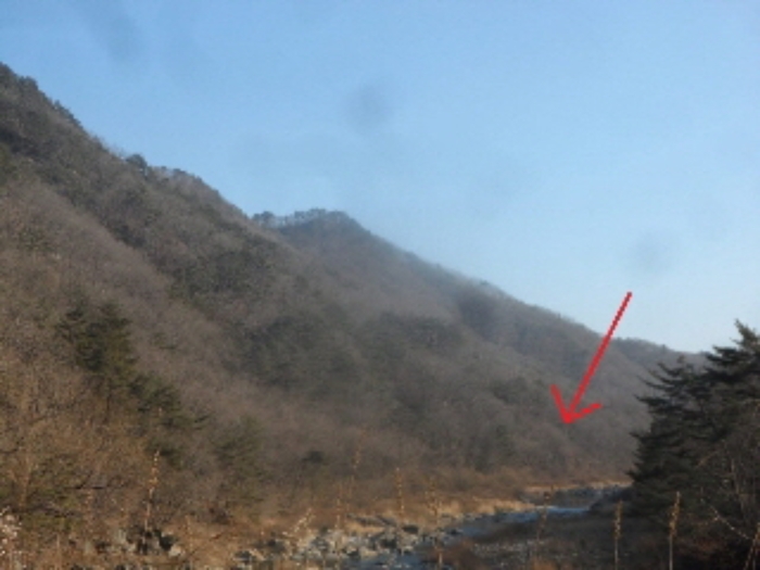 강원 영월군 무릉도원면 임야 경매 물건 사진