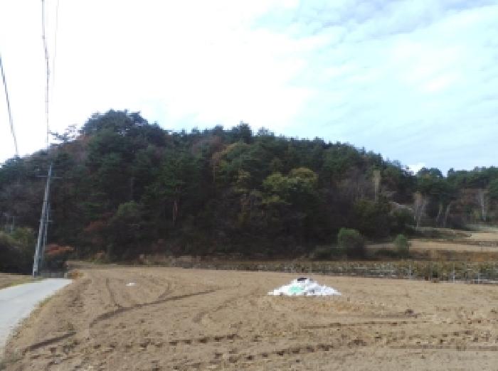 강원 평창군 용평면 임야 경매 물건 사진