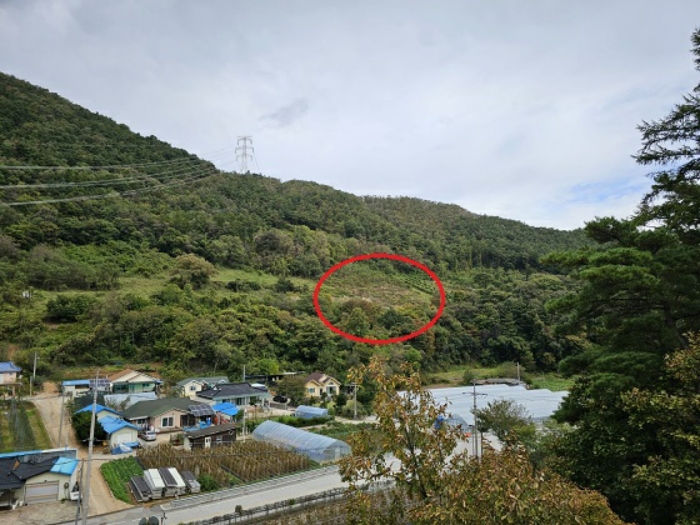 강원특별자치도 정선군 정선읍 광하리 358 전 경매 물건 사진