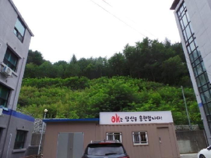 강원 정선군 고한읍 전 경매 물건 사진 5 · 2025타경1168