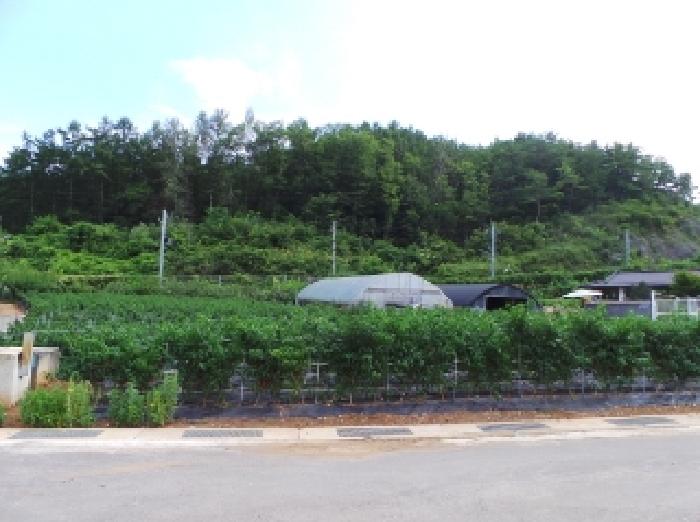 강원 영월군 남면 단독주택 경매 물건 사진