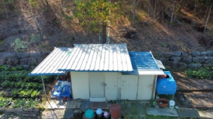 강원 정선군 사북읍 임야 경매 물건 사진