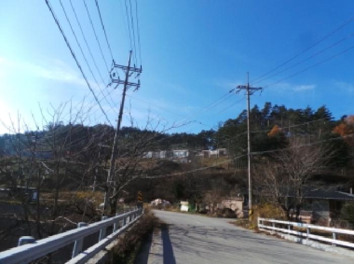 강원 평창군 대관령면 임야 경매 물건 사진