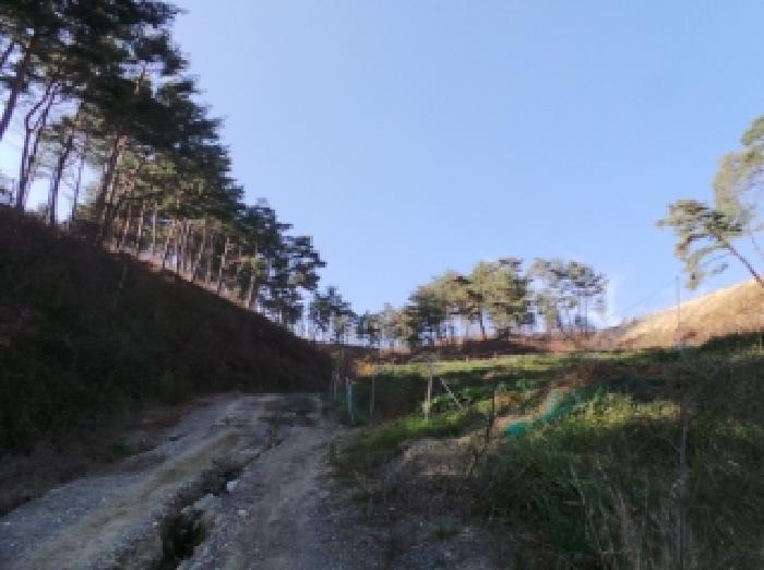 강원 평창군 대관령면 임야 경매 물건 사진 3 · 2025타경1588