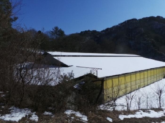 강원 평창군 평창읍 동물및식물관련시설 경매 물건 사진