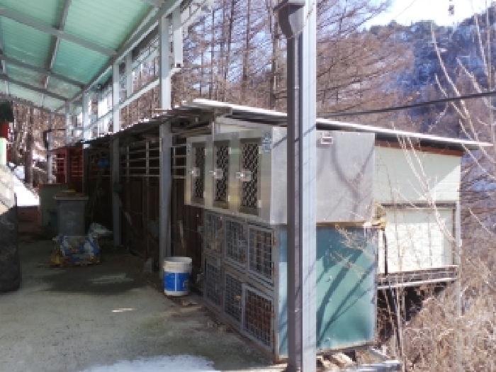 강원 평창군 평창읍 동물및식물관련시설 경매 물건 사진 5 · 2025타경30012